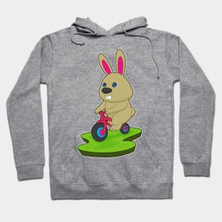 Rabbit Bicycle Hoodie